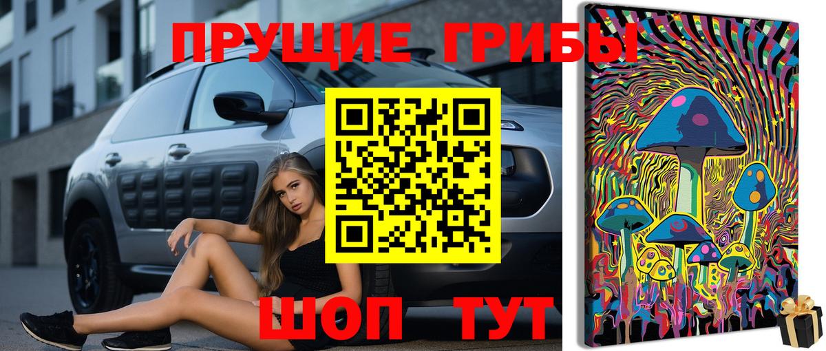 Псилоцибиновые грибы Psilocybe  Псилоцибиновые грибы Magic Shrooms  Полевской 